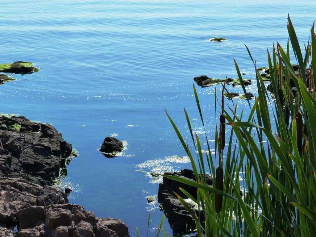 Sea View Apartments Sozopol Eksteriør bilde