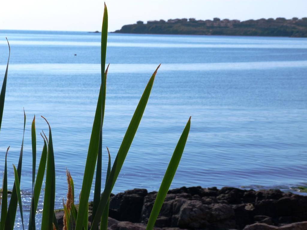Sea View Apartments Sozopol Rom bilde